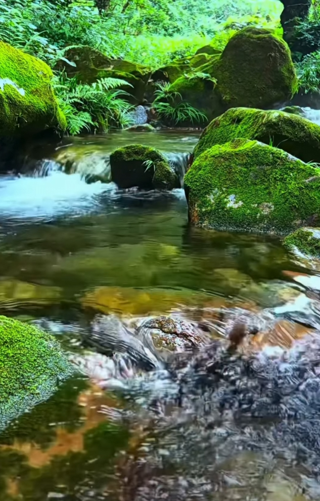 綠意蔥蔥，流水潺潺，波光靈動，心安釋然。